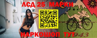 бошки Ставрополь