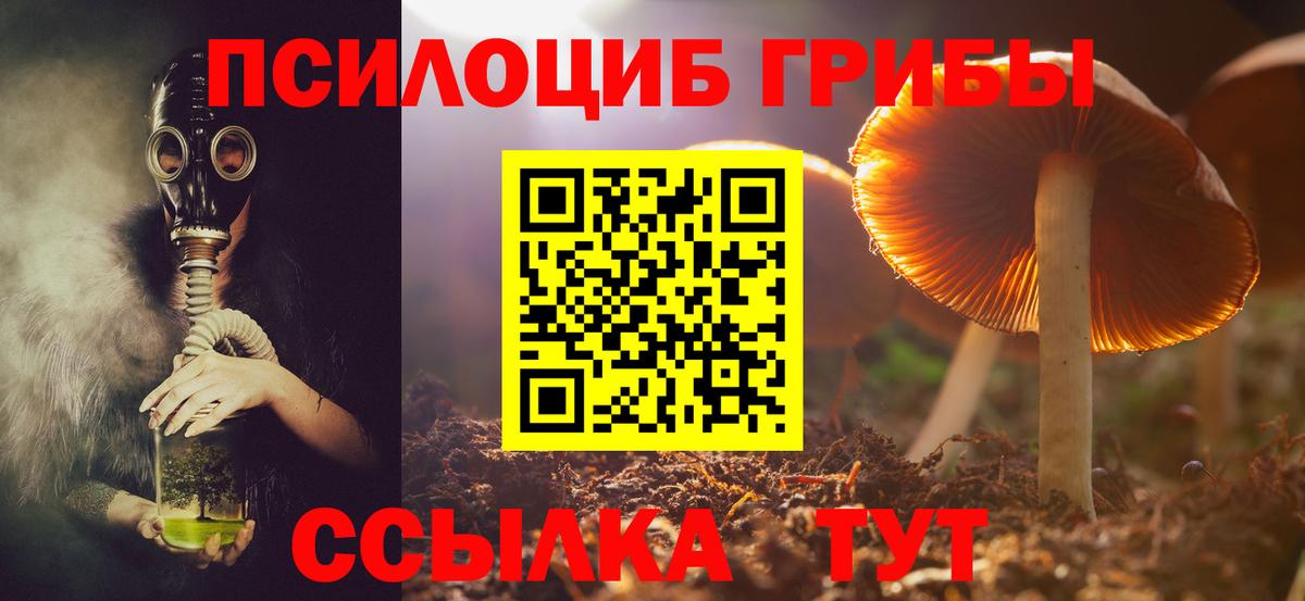 Галлюциногенные грибы мицелий Нижнеудинск