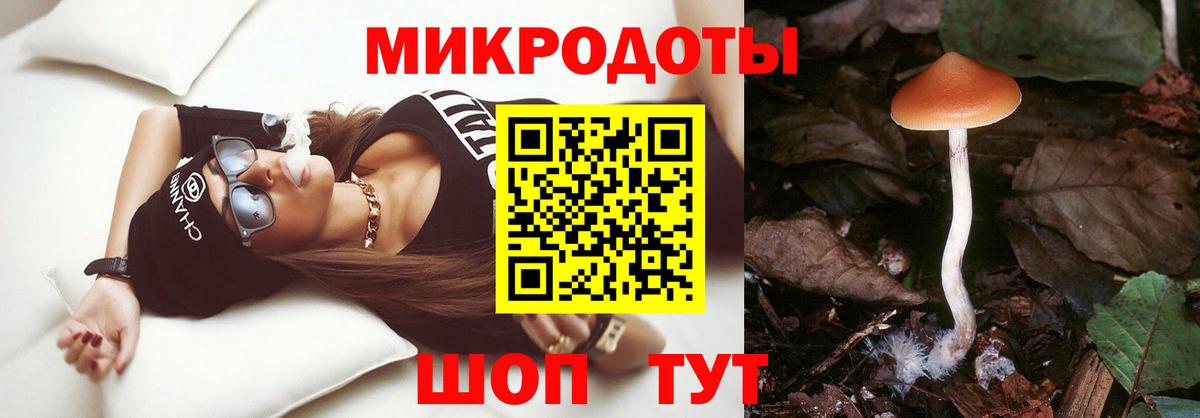 Нижнеудинск  купить  цена  Вход с VPN  Галлюциногенные грибы прущие грибы 