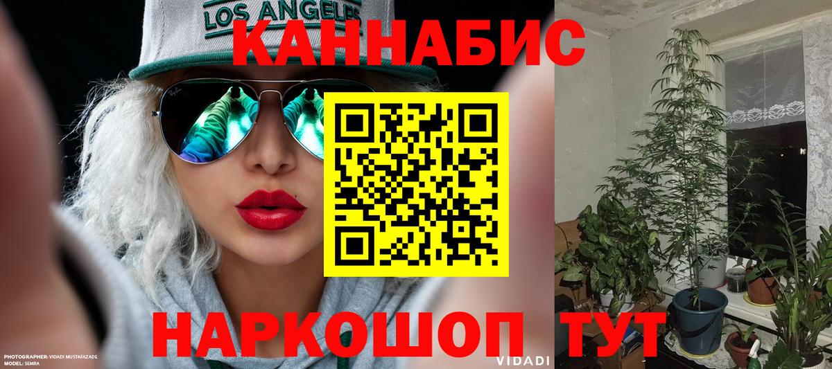 Бошки Шишки Amnesia Нижнеудинск